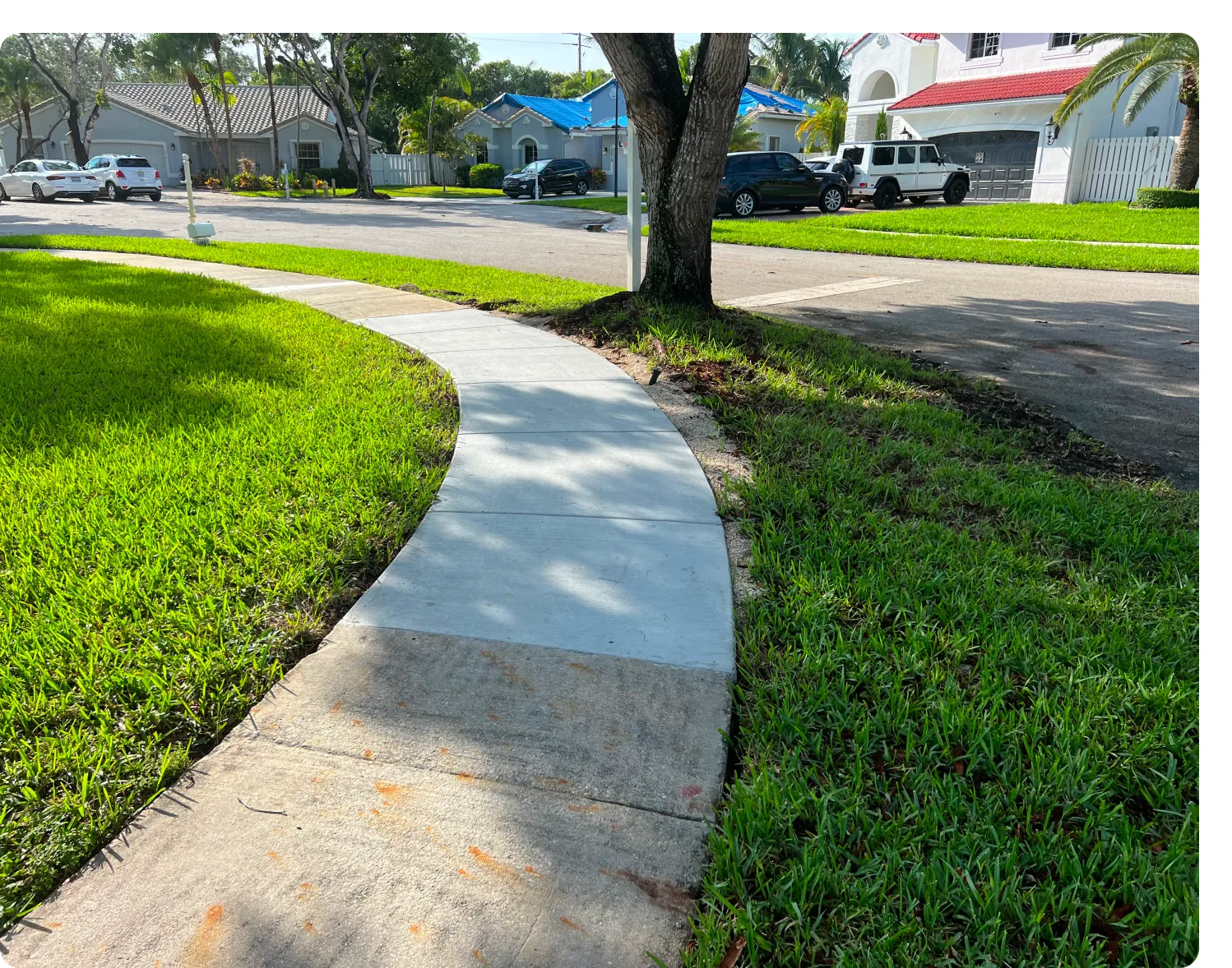 A sidewalk with grass and trees in the background.