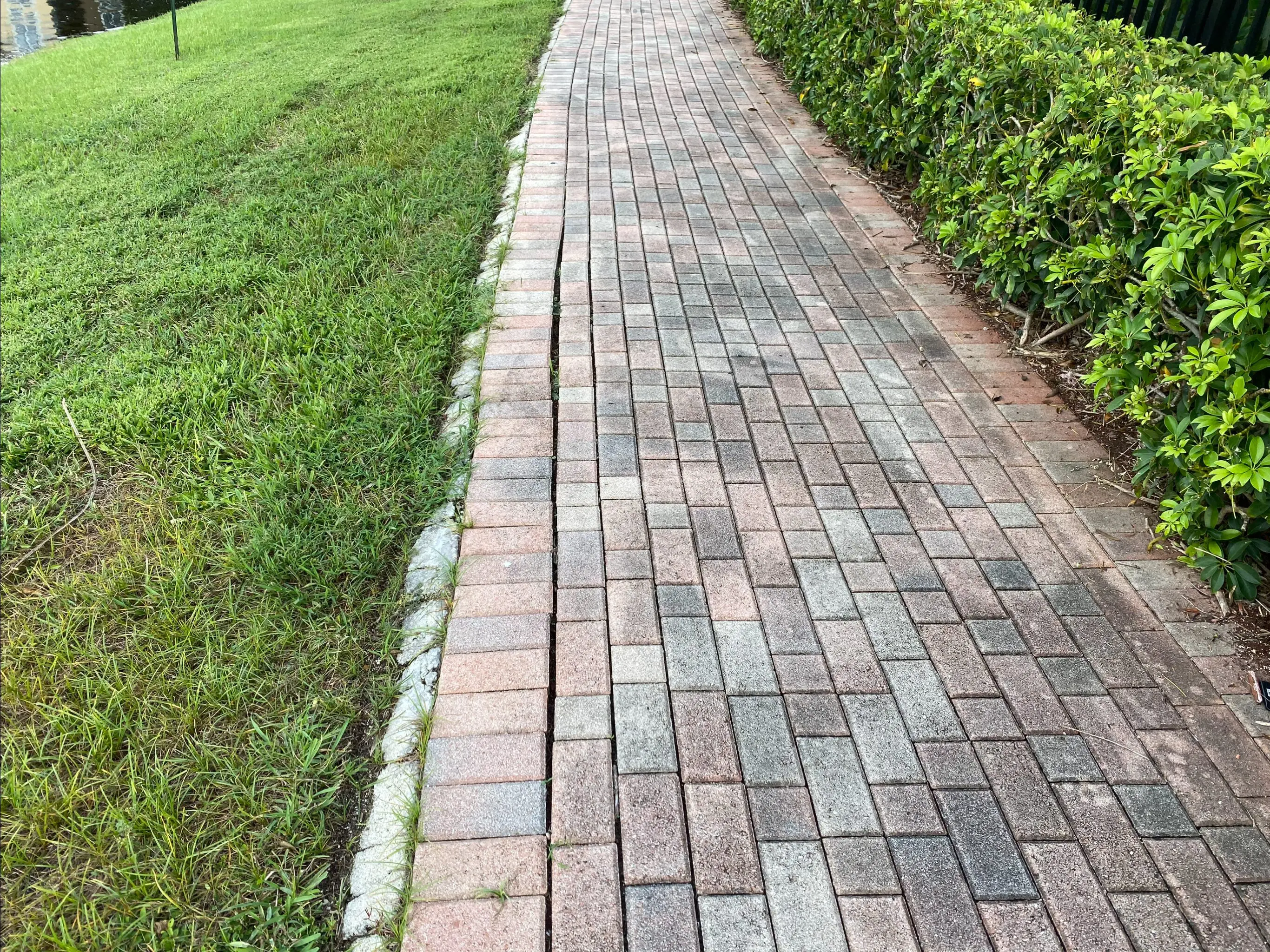 A brick walkway with grass growing on it.